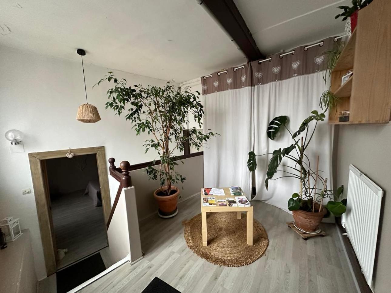 Gite Au Giessen - 1Er Etage ビースハイム エクステリア 写真